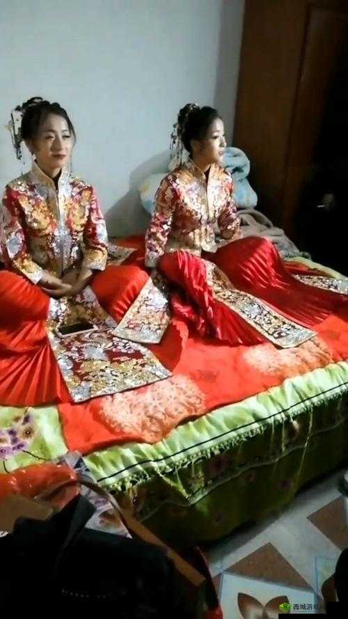双胞胎姐妹齐上阵的观众评价如何:精彩纷呈