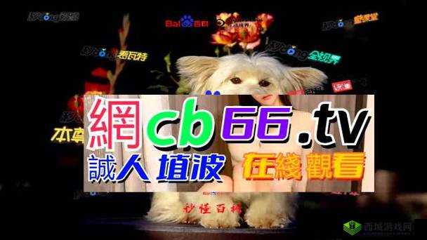 成品网源码 78w78 独特功能:XX、XX、XX
