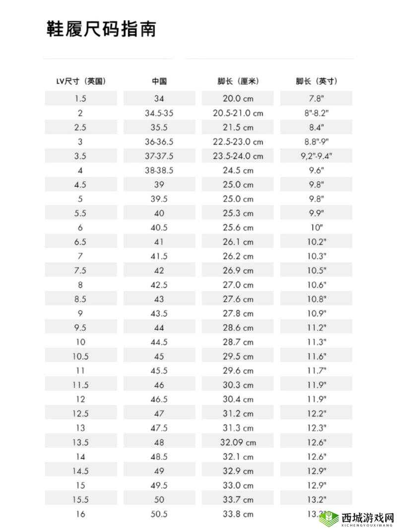 欧洲 lv 尺码大：探究其原因与特点