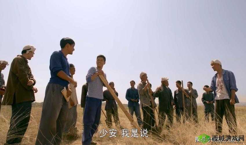 叔叔的成品店打工日记:平凡中的不凡经历