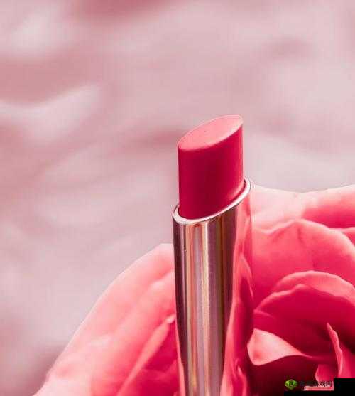 YSL 蜜桃色成人魅力无限