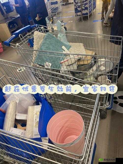 小扫货能么多叫出来：实惠购物大揭秘