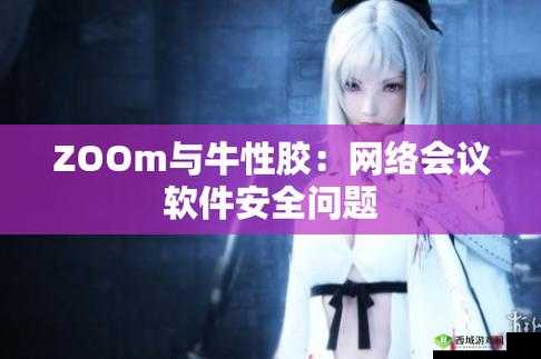 Zoom 与牛性胶 ZOOm 一：两者对比分析