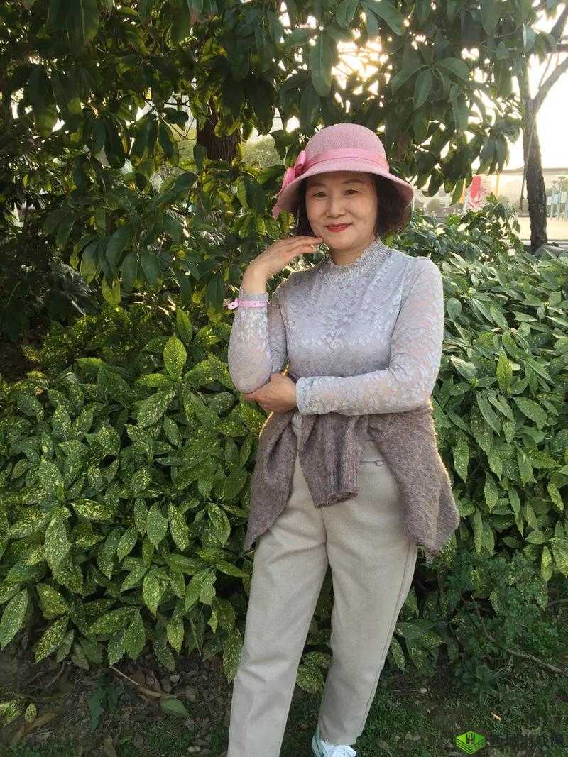 沈阳老阿姨最后的巅峰：追忆与思索