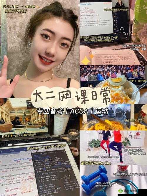 ACCA 少女是正规还是仿：深度解析