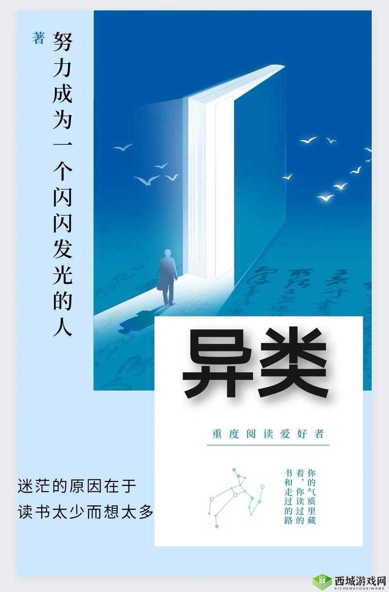 不样的传说套装：深度解析其独特魅力与细致设计之路径