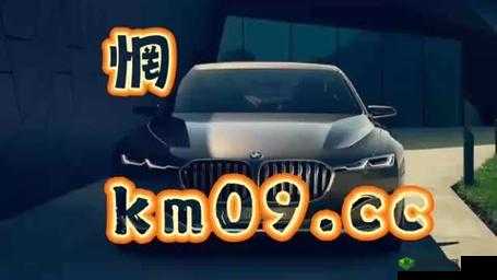 8X8X.IO 最新地域网名揭秘：背后的秘密