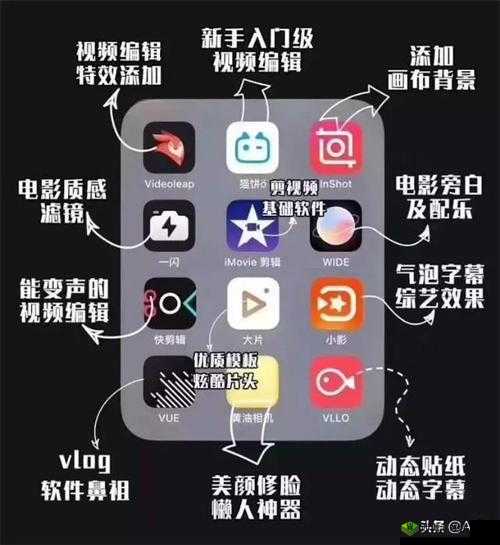 成品人短视频软件推荐:哪个更优?