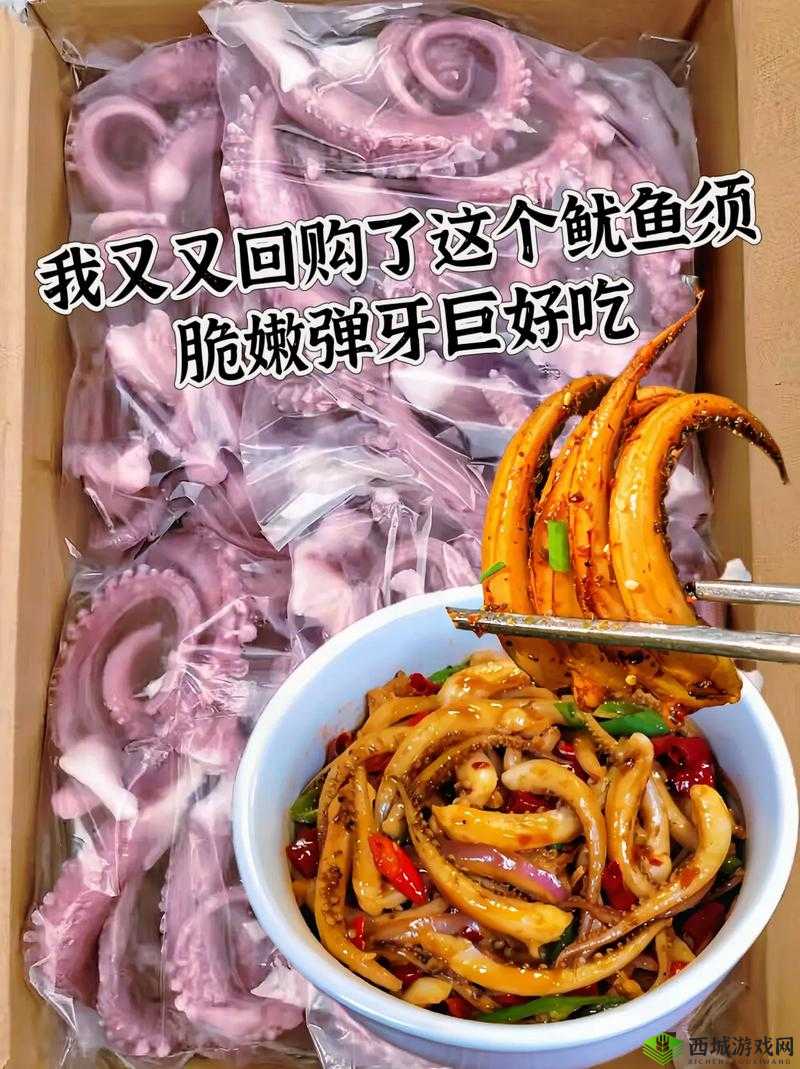 BY9225鱿鱼官网换哪了:相关情况解析