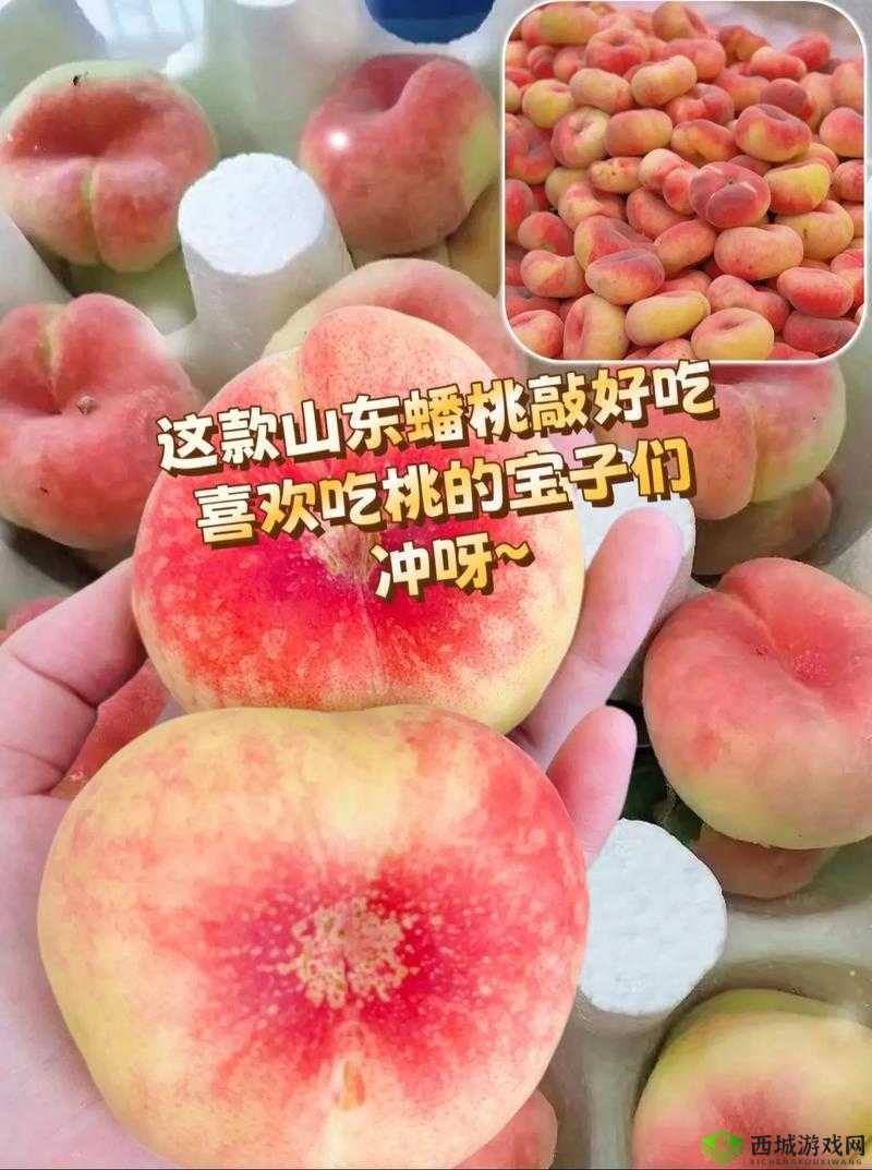夏日必备:清爽蜜汁桃桃,让你一口爱上