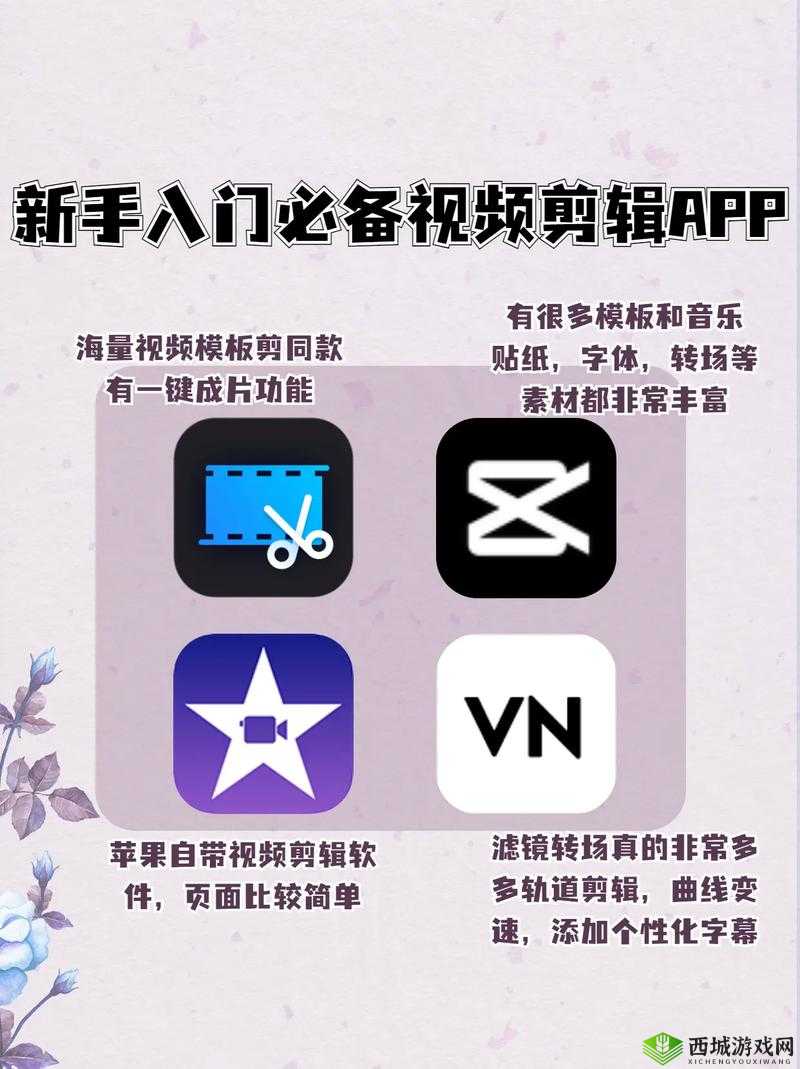 成品短视频 APP 软件大全推荐:各类热门软件尽在其中