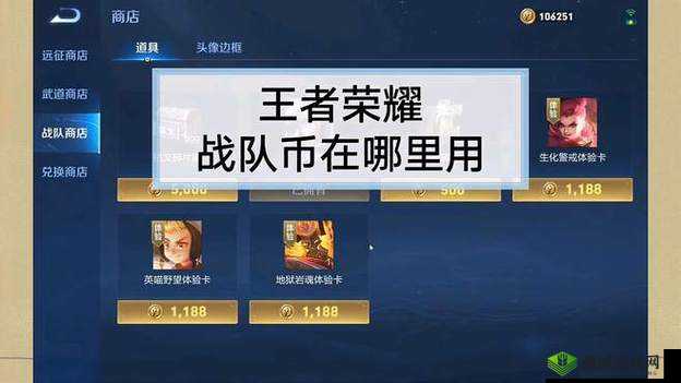 王者荣耀战队币用途大揭秘：究竟该在哪里使用呢