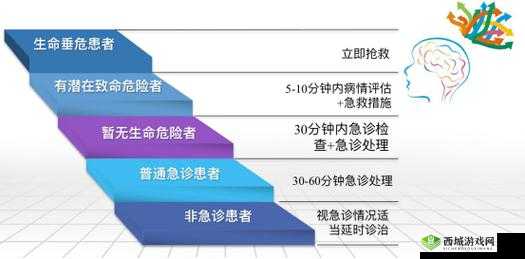 DayZ输错血型引发的后果解析:生命垂危与致命风险详解
