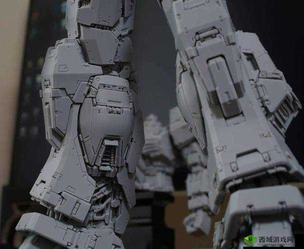 160mk2 成色:独特魅力与价值展现