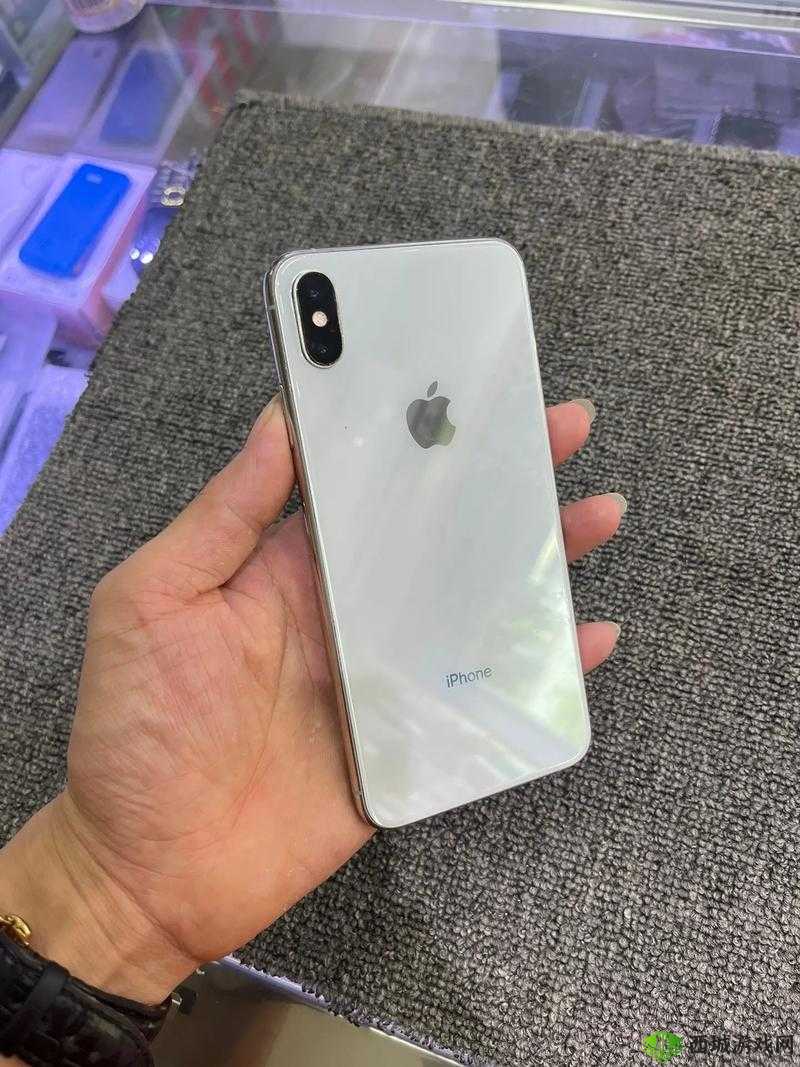 欧美 IPHONEXSMAX 免费:你敢相信吗