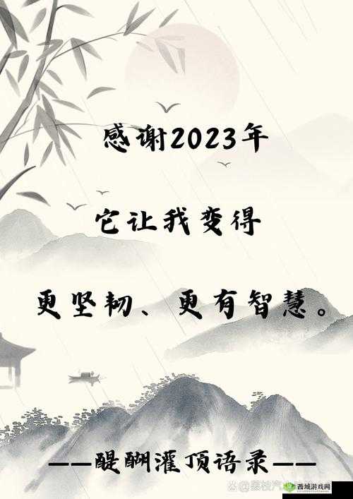 2023 年免费进入 B 站:全新体验等你来