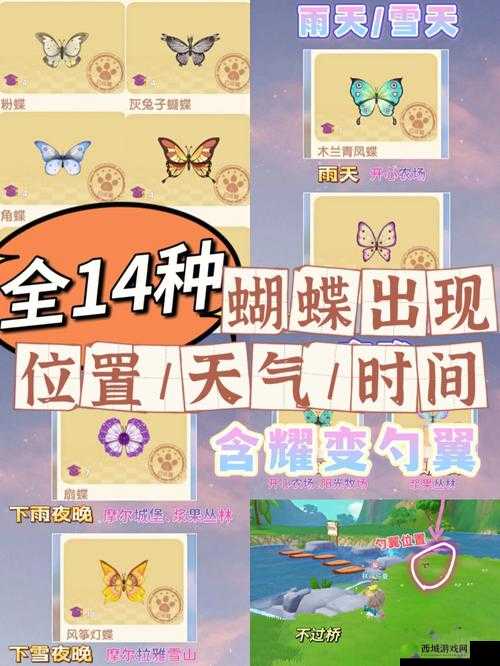 摩尔庄园手游:蝴蝶兰是什么?解锁蝴蝶兰种子的方式介绍
