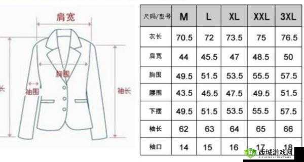 欧洲码尺码 M 高清：时尚与舒适的完美结合