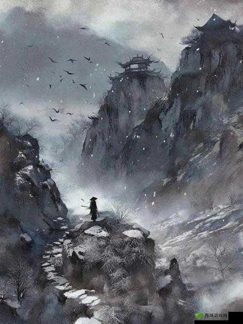 《剑影之谜：海山流秘密组织揭秘》
