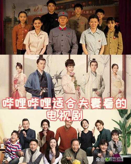 哔哩哔哩适合夫妻看的电视剧:精选推荐