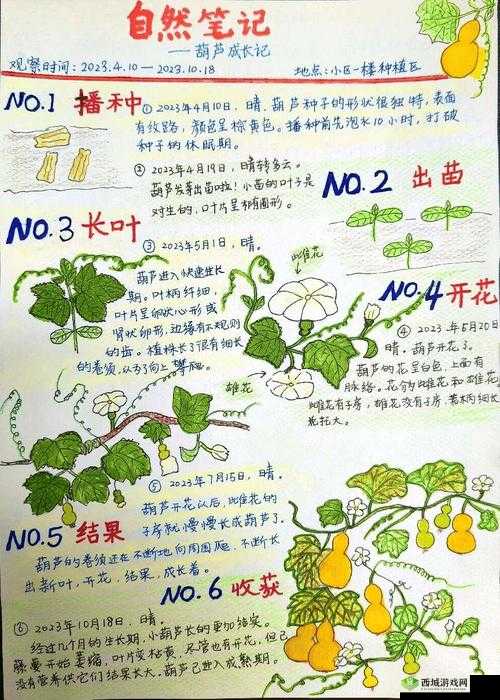 成都香蕉草莓科技:探索科技奥秘
