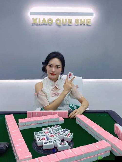 MD0112 私人麻将馆艾秋:独特的娱乐天地