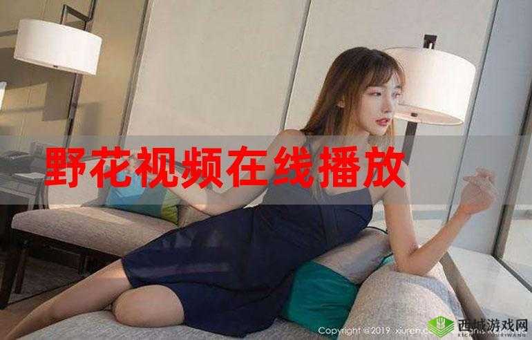 野花视频在线观看完整版最新 6:畅享精彩大片