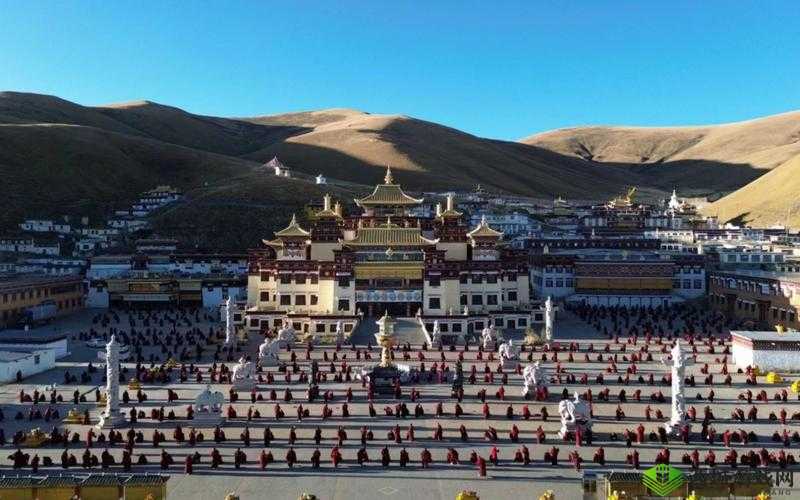 www.色院秘:探索神秘之色院世界