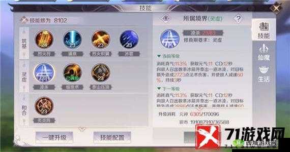 乱斗堂外套必杀技能：深度解析与实战应用指南