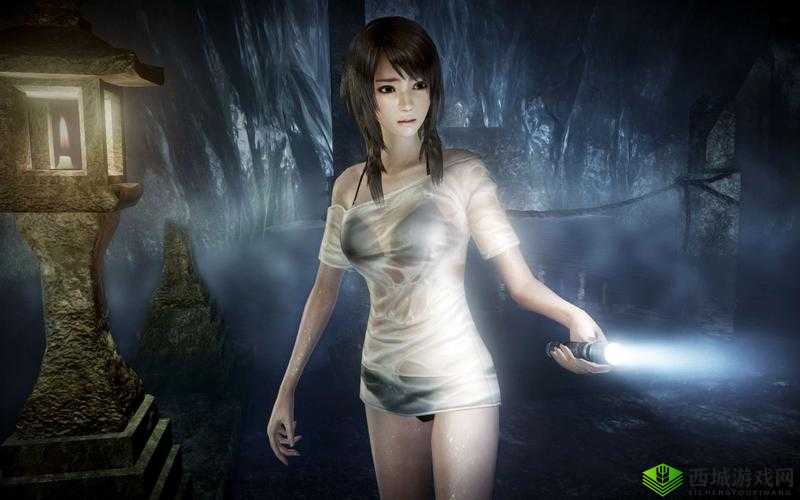 《零濡鸦之巫女》全残影位置攻略:详细指引探索游戏中的每处隐秘残影位置