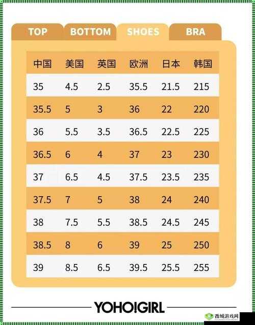 亚洲一码二码三码区别在哪:深度解析与探讨