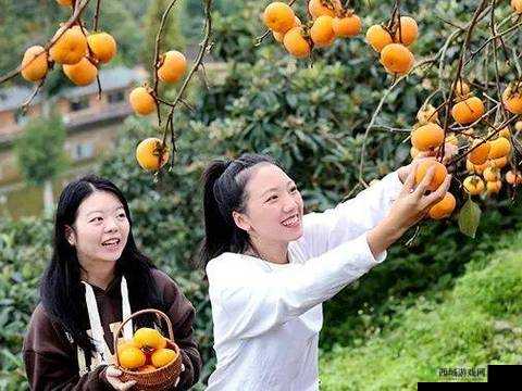 二人世界拔萝卜：在田园时光中享受温馨时光