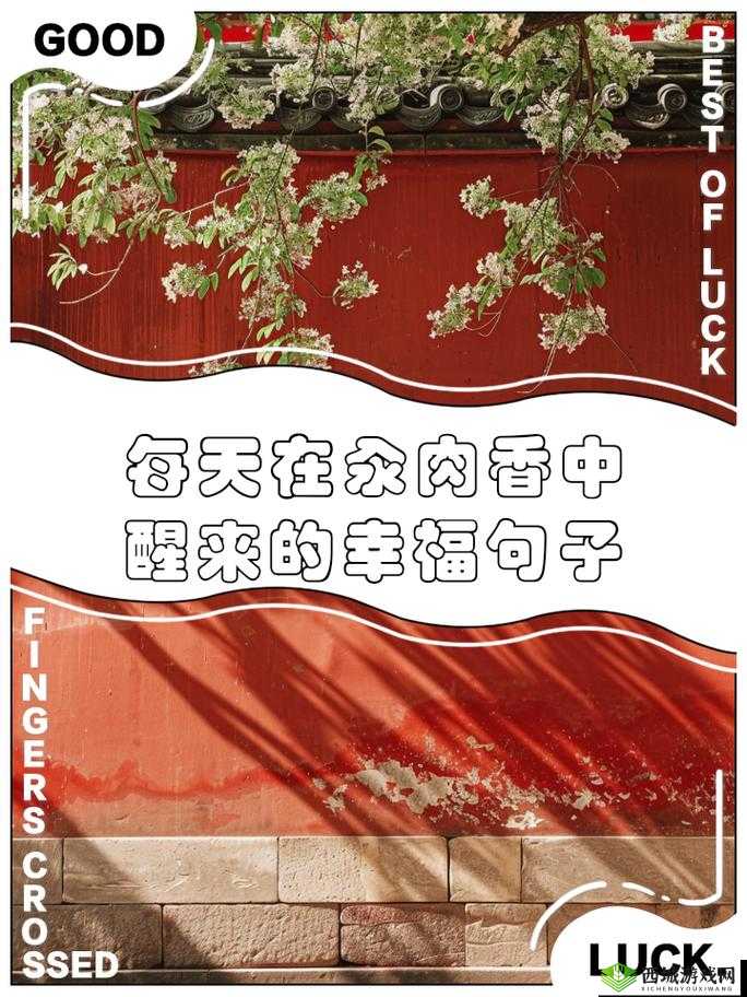 每天都在汆肉中醒来酱酱:这是怎样一种独特体验呢