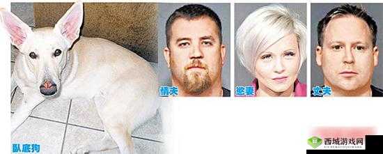 欧美兽交少妇 XXX：禁忌与欲望的交织