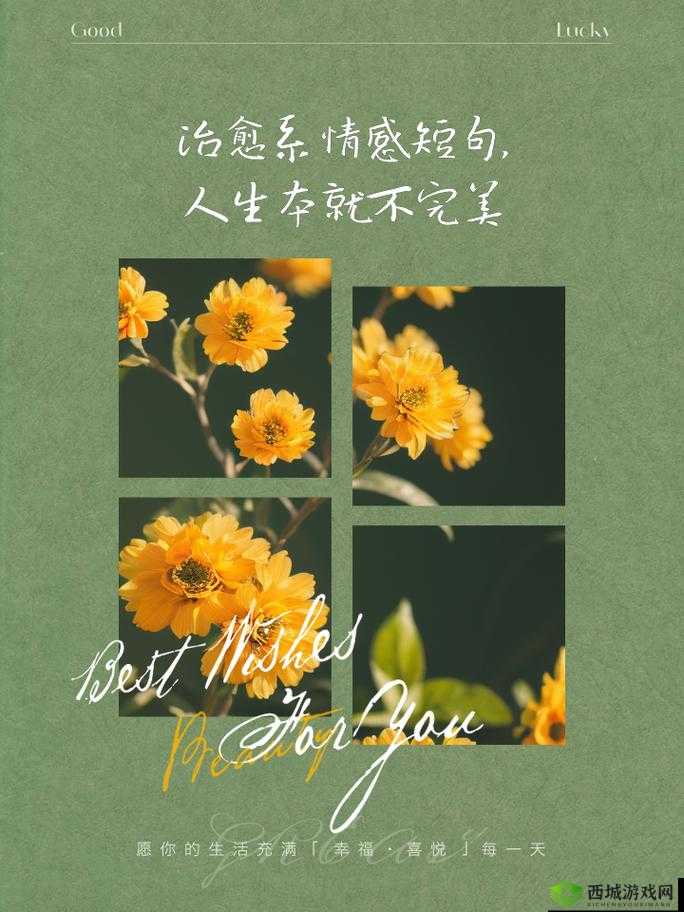 宝贝我不想带小雨伞啦梨花糖：那别样的情感体验