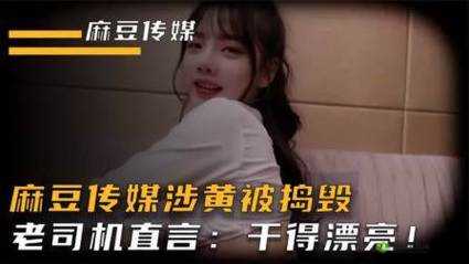 麻豆传媒官网:涉嫌违法犯罪被依法打击的不良平台