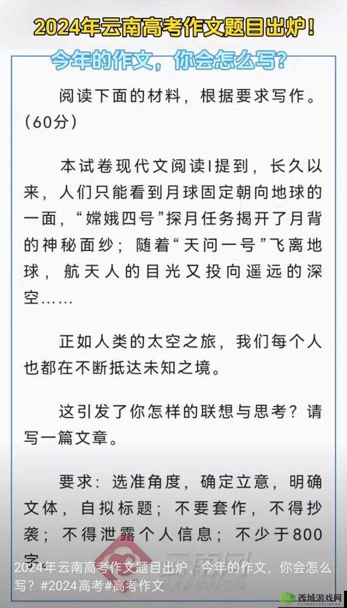 2024 年直接进入给个网站的秘密:探索未知的世界