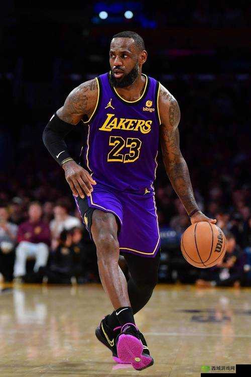 95 免费版网站 NBA:畅享篮球激情,免费无极限