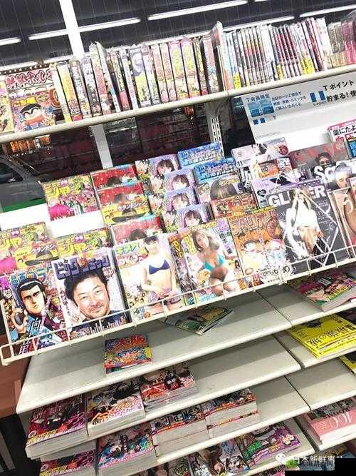 日本人的ⅤideoSⅩ:窥探日本成人文化的窗口
