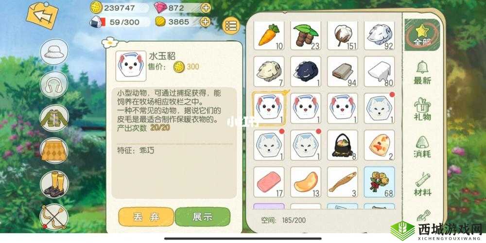 小森生活，揭秘水玉貂的神秘栖息地