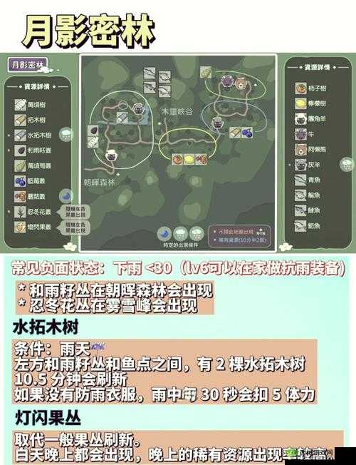 小森生活，解锁灯闪果的秘密地图
