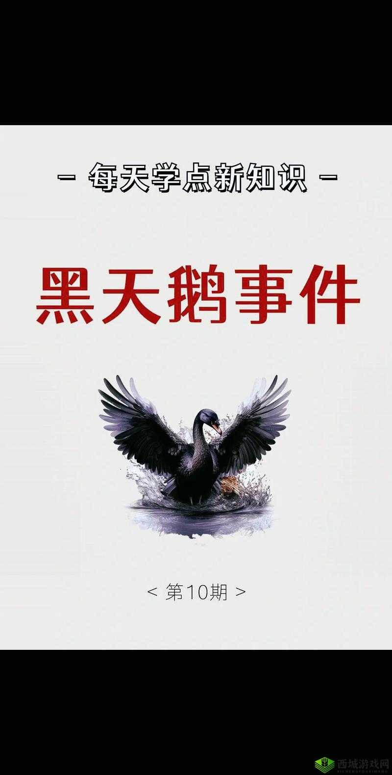 什么是黑社料?还能看吗?