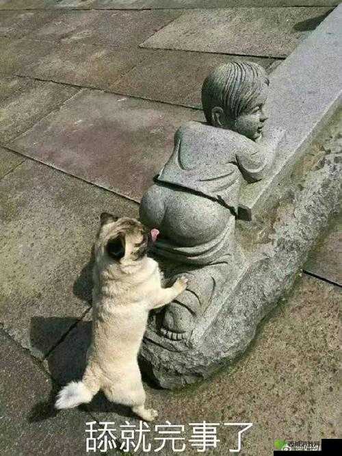 嗟嗟嗟在线观看:一部不容错过的精彩影片