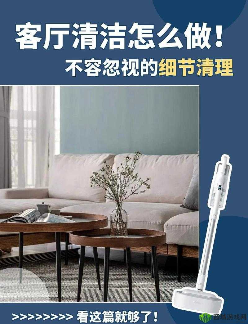 以后从厨房一路干到客厅好吗:关于家务清洁的探讨与思考