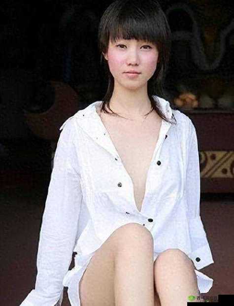 张雨欣人文艺术欣赏 PPT：领略艺术之美与人文内涵