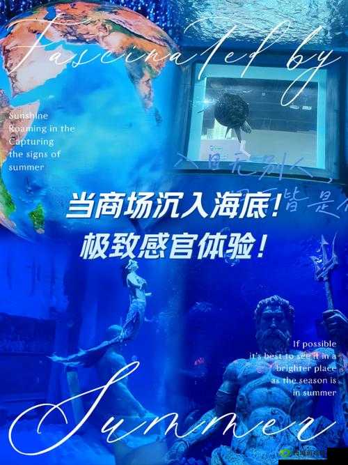 另类 Videossexo 高潮:极致感官体验的探索与释放