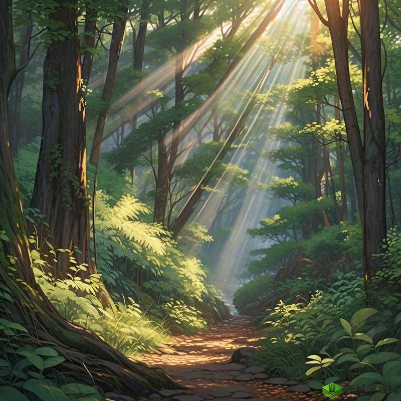 后入海角:那片神秘而令人心驰神往的绝美之地