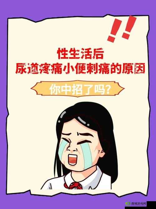 做了爱后尿道疼痛小便刺痛:原因探究与应对之策