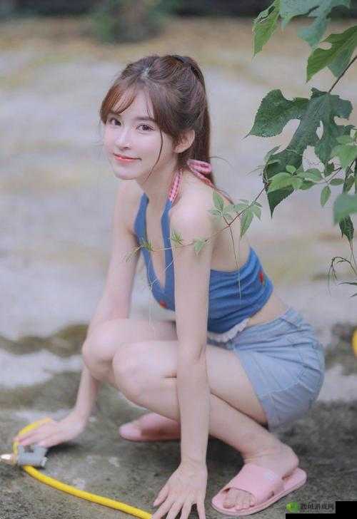 美女们的 xnxx：探索别样精彩与魅力
