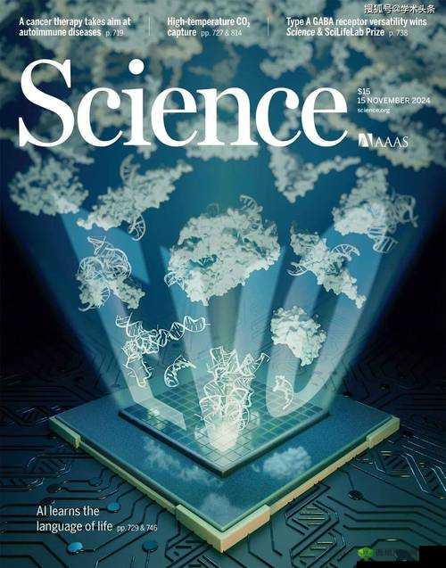 黄片实验研究所免费:探究性与科学的边界